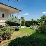Poolside Paradise Dilesi By μρs