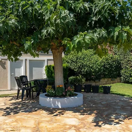 Poolside Paradise Dilesi By μρs * Dhílesi