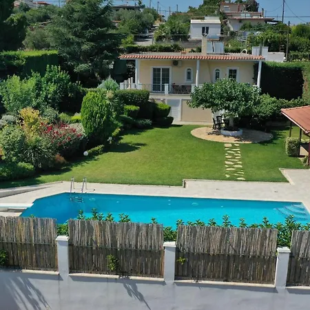 Poolside Paradise Dilesi By μρs Dhílesi