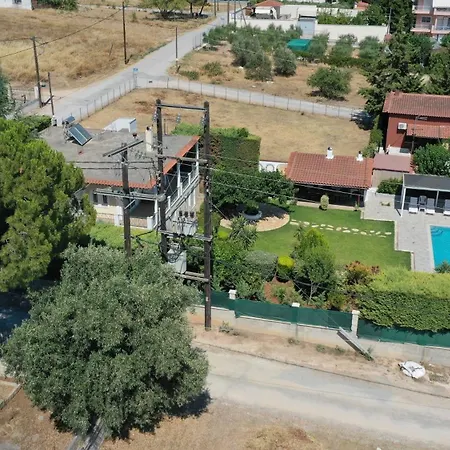 Poolside Paradise Dilesi By μρs Dhílesi