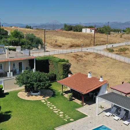 Poolside Paradise Dilesi By Μρs *