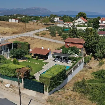 Poolside Paradise Dilesi By μρs * Dhílesi