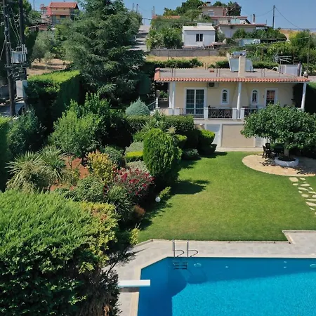 Poolside Paradise Dilesi By μρs *