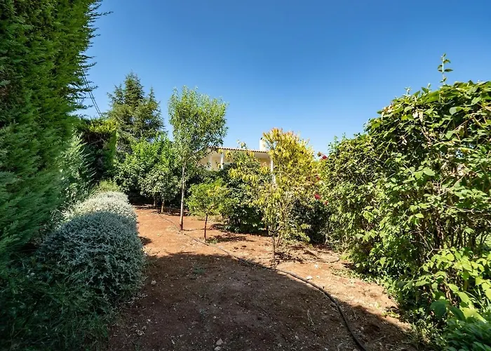 Poolside Paradise Dilesi By Μρs Villa *