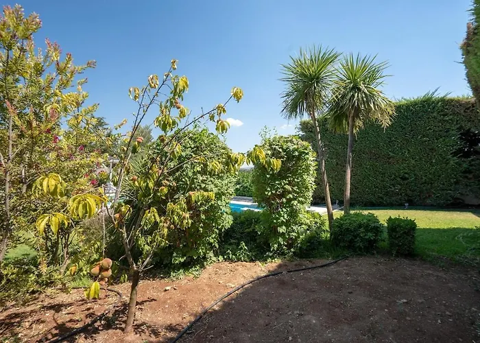 Poolside Paradise Dilesi By Μρs * Dhilesi