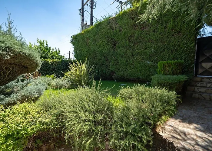 Poolside Paradise Dilesi By Μρs * Dhilesi