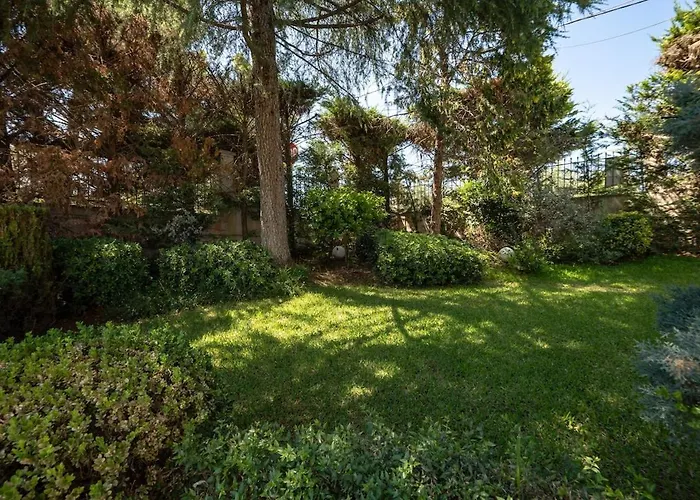 Poolside Paradise Dilesi By Μρs Dhilesi