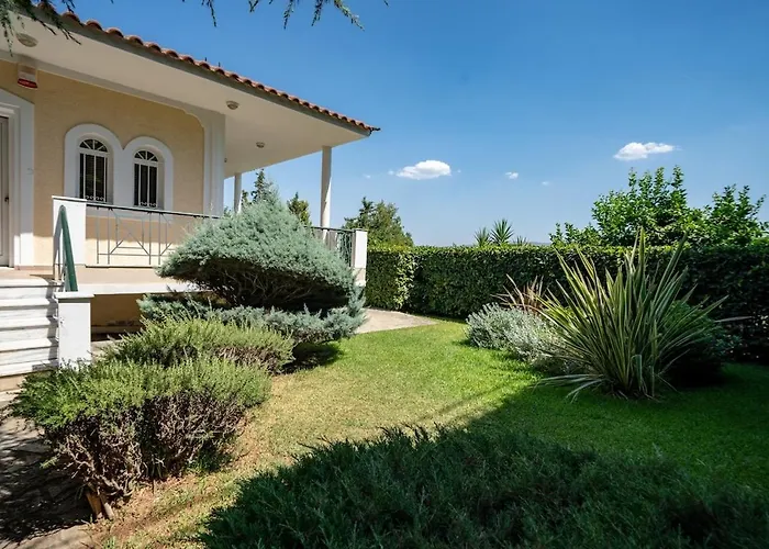 Poolside Paradise Dilesi By Μρs