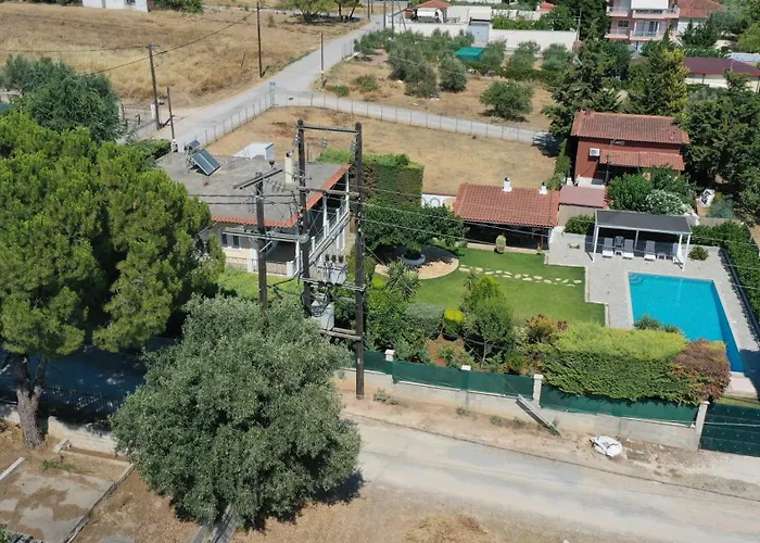 Poolside Paradise Dilesi By Μρs Dhilesi