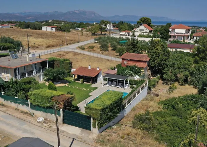 Poolside Paradise Dilesi By Μρs * Dhilesi