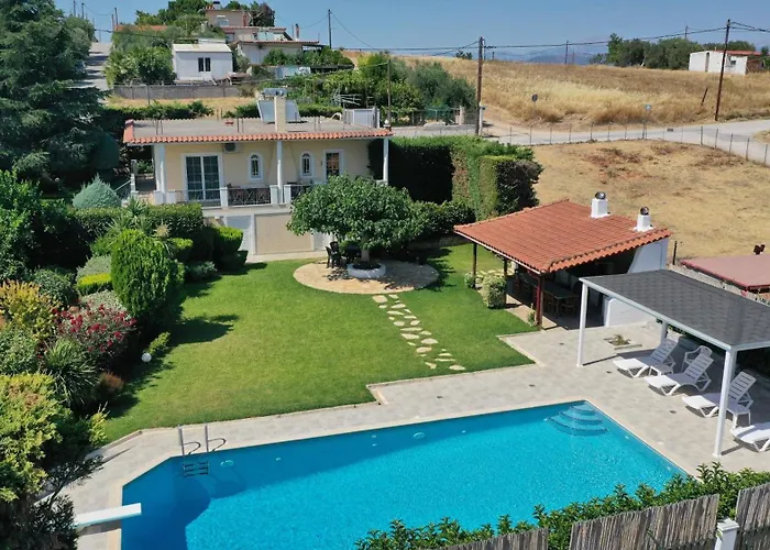 Poolside Paradise Dilesi By Μρs